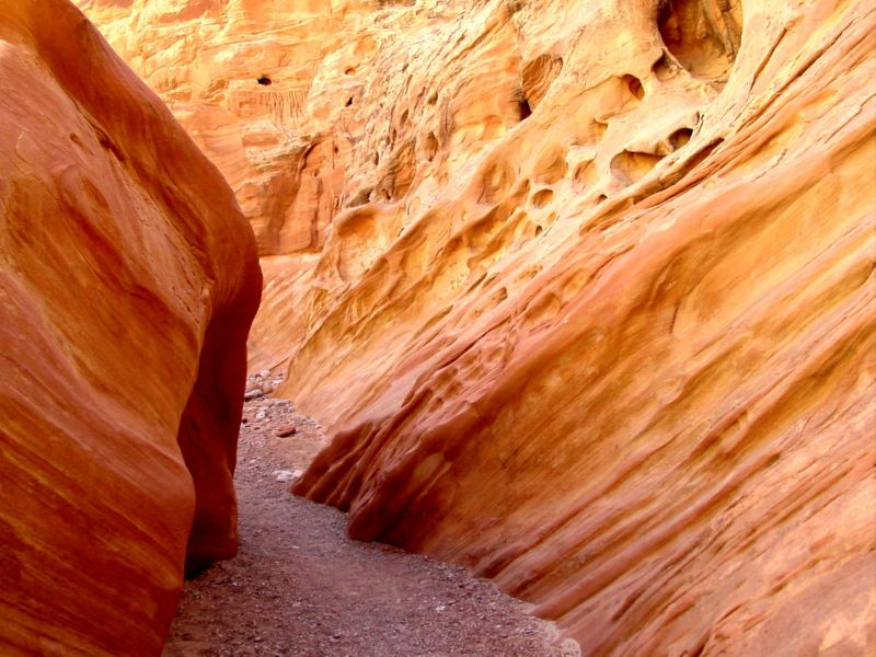 04160302LittleWildHorse (1027)